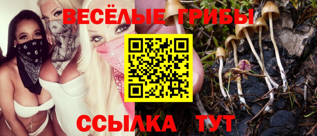 Лабытнанги  Псилоцибиновые грибы Psilocybe  Псилоцибиновые грибы Psilocybine cubensis  Вход с VPN 